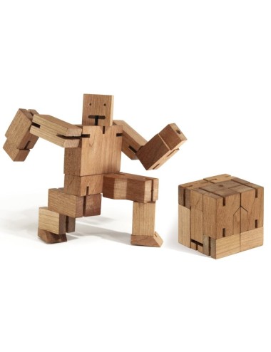 Robot Cubebot micro fusta
