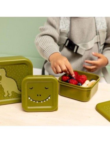 set 3 tuppers Mr. Dino Trixie