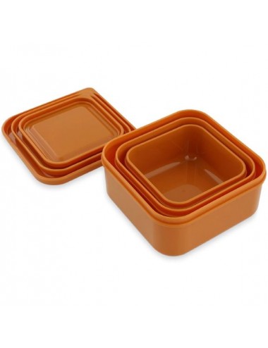 set 3 tuppers Mr.Fox Trixie