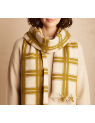 Bufanda de cuadros dobles verde