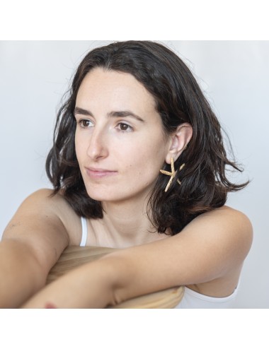 Arracades estrelles Menorca...