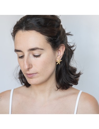 Pendientes estrellas...