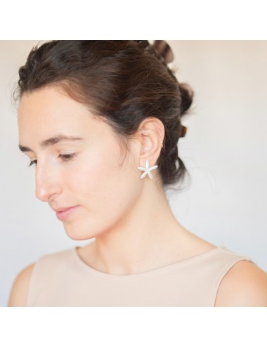 Arracades estrelles Menorca petites platejades